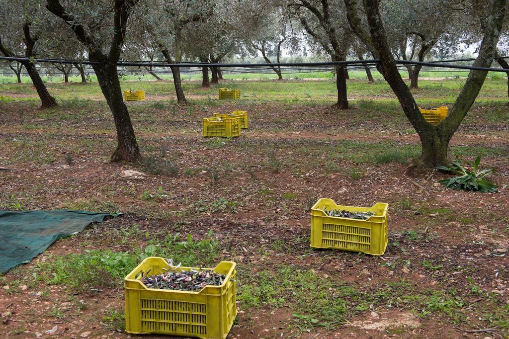 Agriturismo Scalelle Otranto Luaran gambar